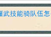 偃武技能骑队伍怎么玩,偃武技能骑队玩法攻略