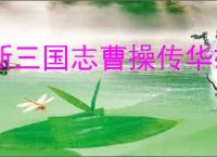 新三国志曹操传华雄怎么玩,新三国志曹操传华雄阵容搭配推荐