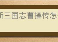 新三国志曹操传怎么过法正之影,新三国志曹操传法正之影关卡流程