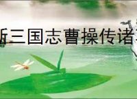 新三国志曹操传诸葛亮带什么星符,新三国志曹操传诸葛亮星符搭配
