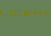 新三国志曹操传怎么过飞石御敌四,新三国志曹操传飞石御敌四关卡流程