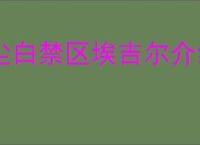 尘白禁区埃吉尔介绍说明,尘白禁区埃吉尔战斗机制一览