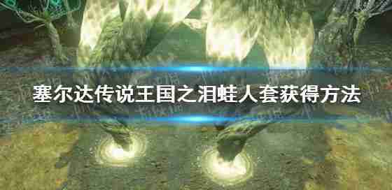 塞尔达传闻王国眼泪”蛙人的如何?蛙人设置措施
