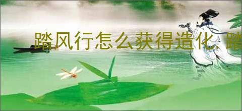 踏风行怎么获得造化,踏风行造化获取途径