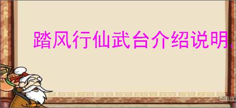 踏风行仙武台介绍说明,踏风行仙武台玩法攻略