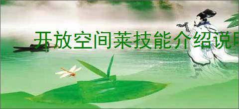 开放空间莱技能介绍说明,开放空间莱技能玩法攻略