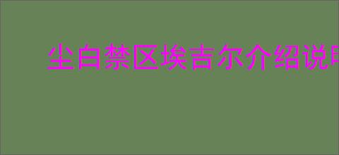 尘白禁区埃吉尔介绍说明,尘白禁区埃吉尔战斗机制一览